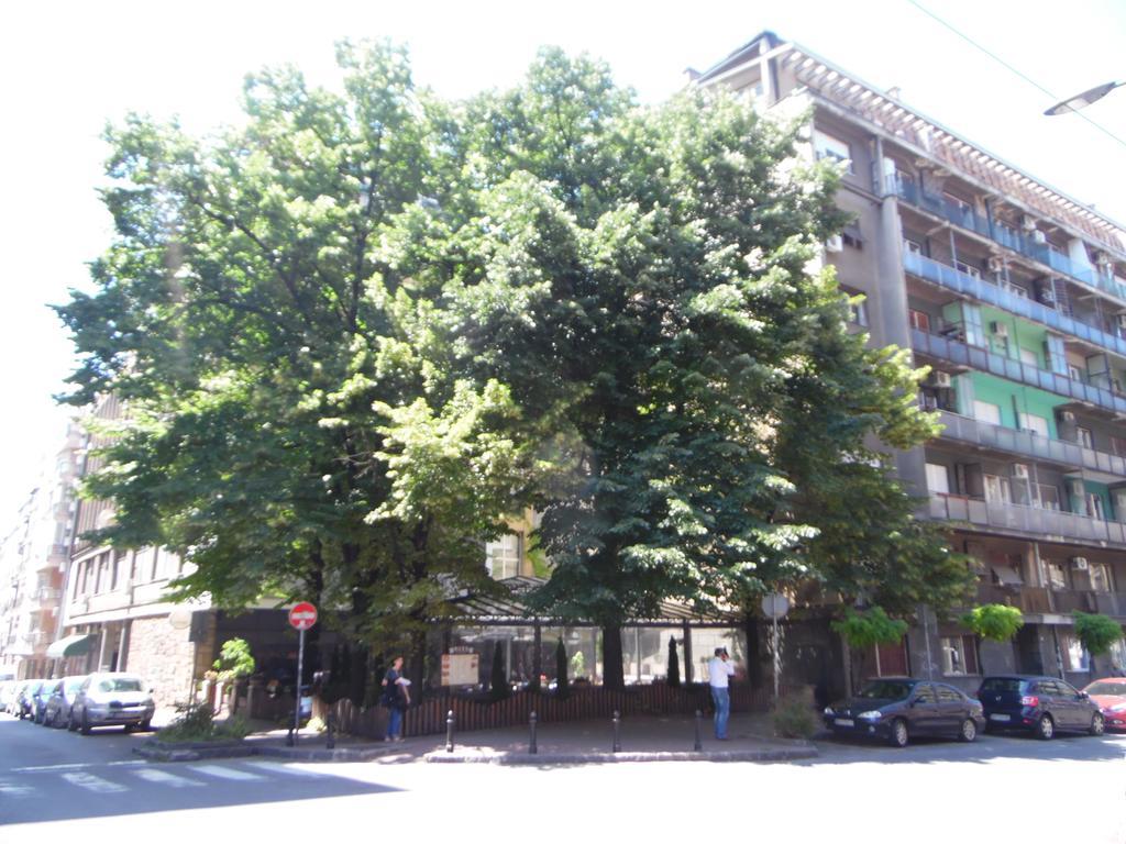 Apartment Vracar ベオグラード エクステリア 写真